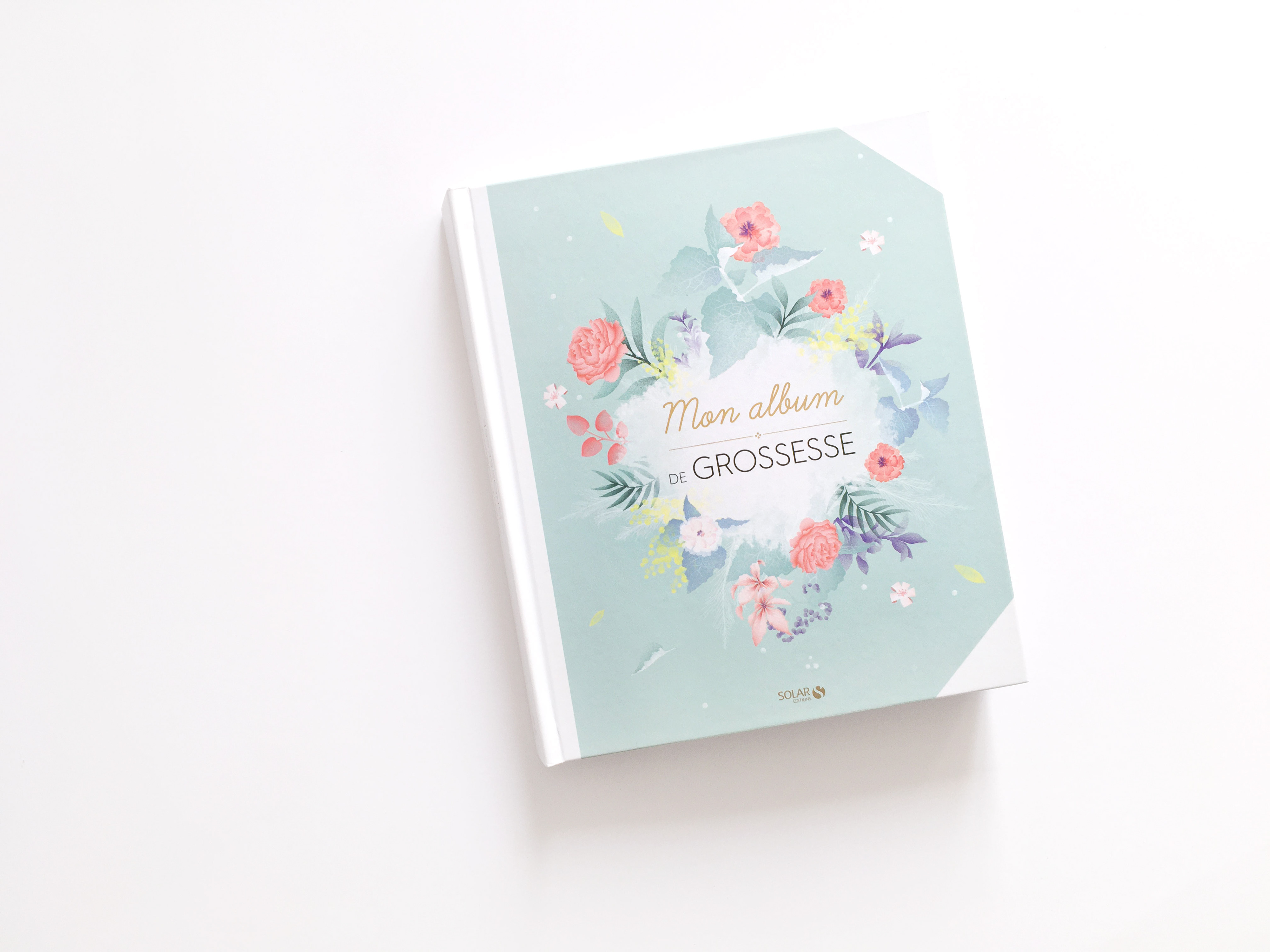 Stephanie Brepson Albums Pop Up