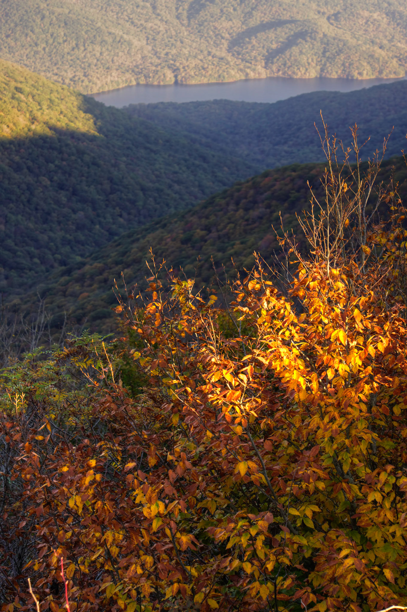 Reservoir from Craggy Gardens