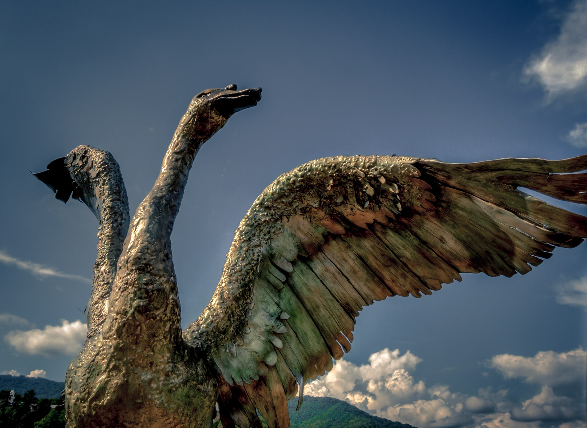 Malcolm - the Lake Junalooska Swan