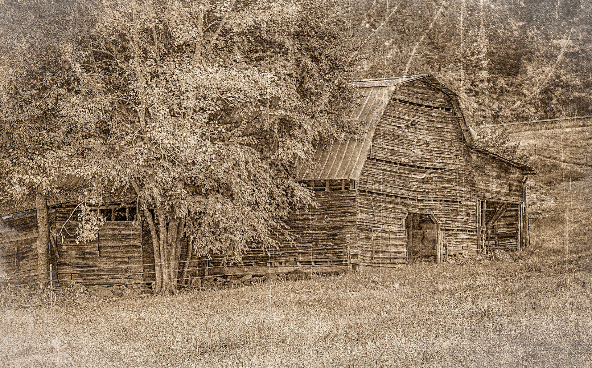 Little Barn on the Prairie 2