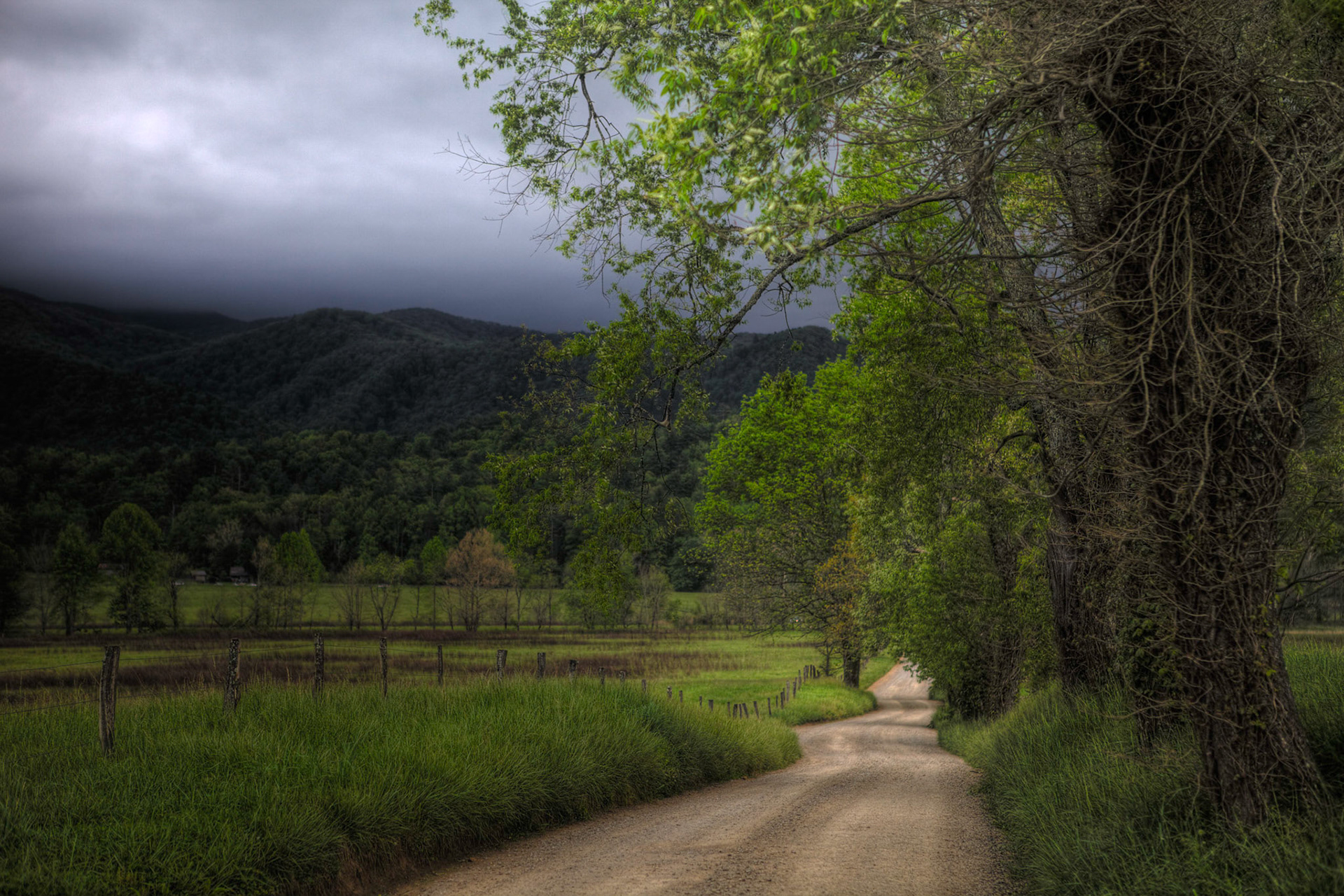 Hyatt Lane - Cades Cove, TN