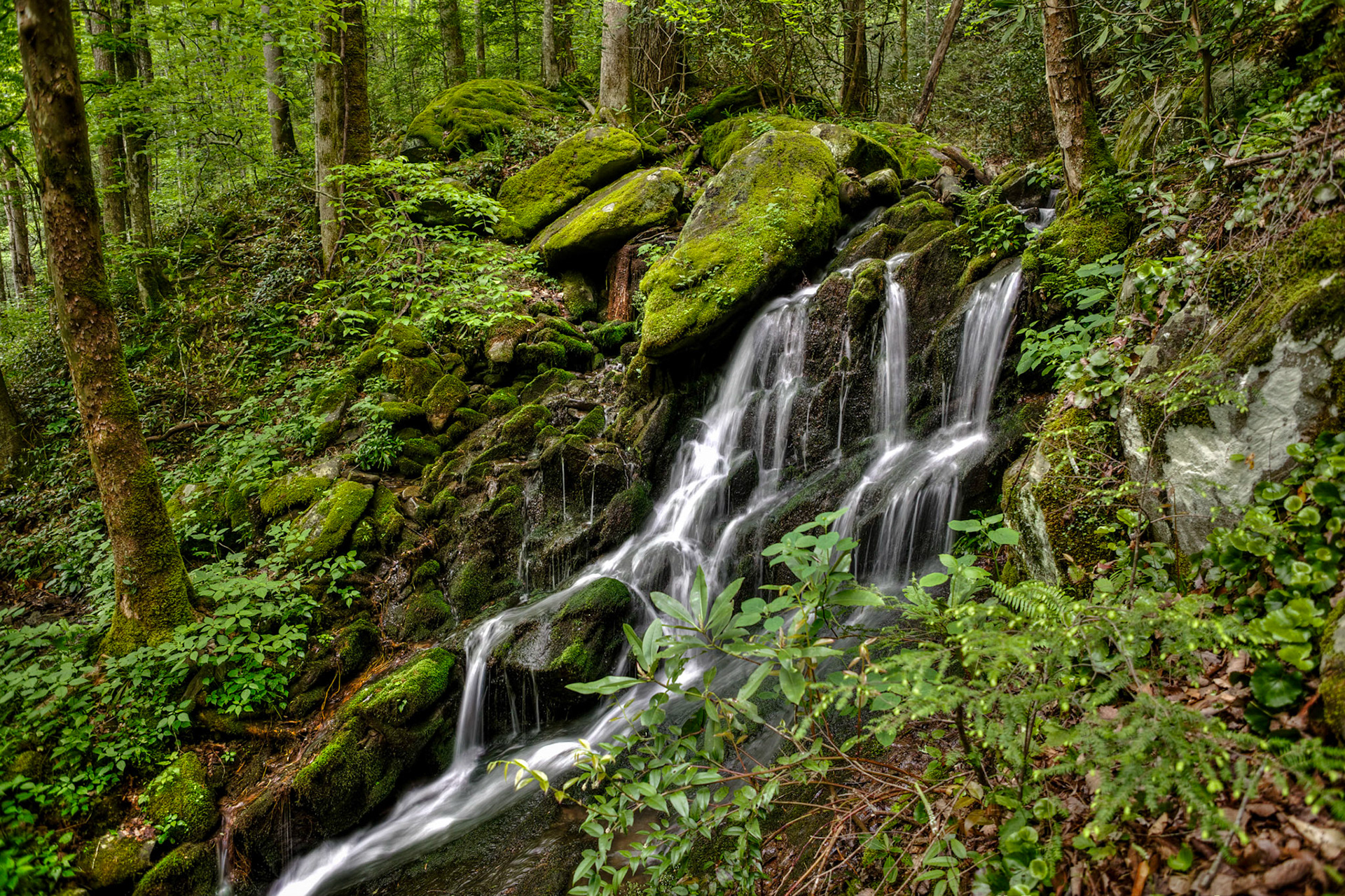 Cascade in Tremont Area of the Great Smoky Mountains National Park