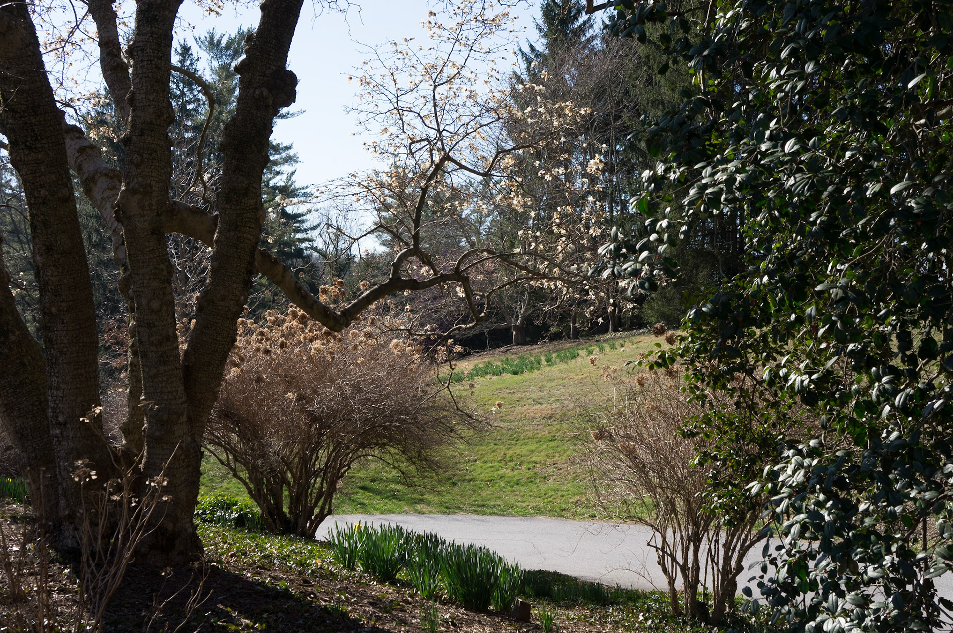 Garden Path on Biltmore Estate