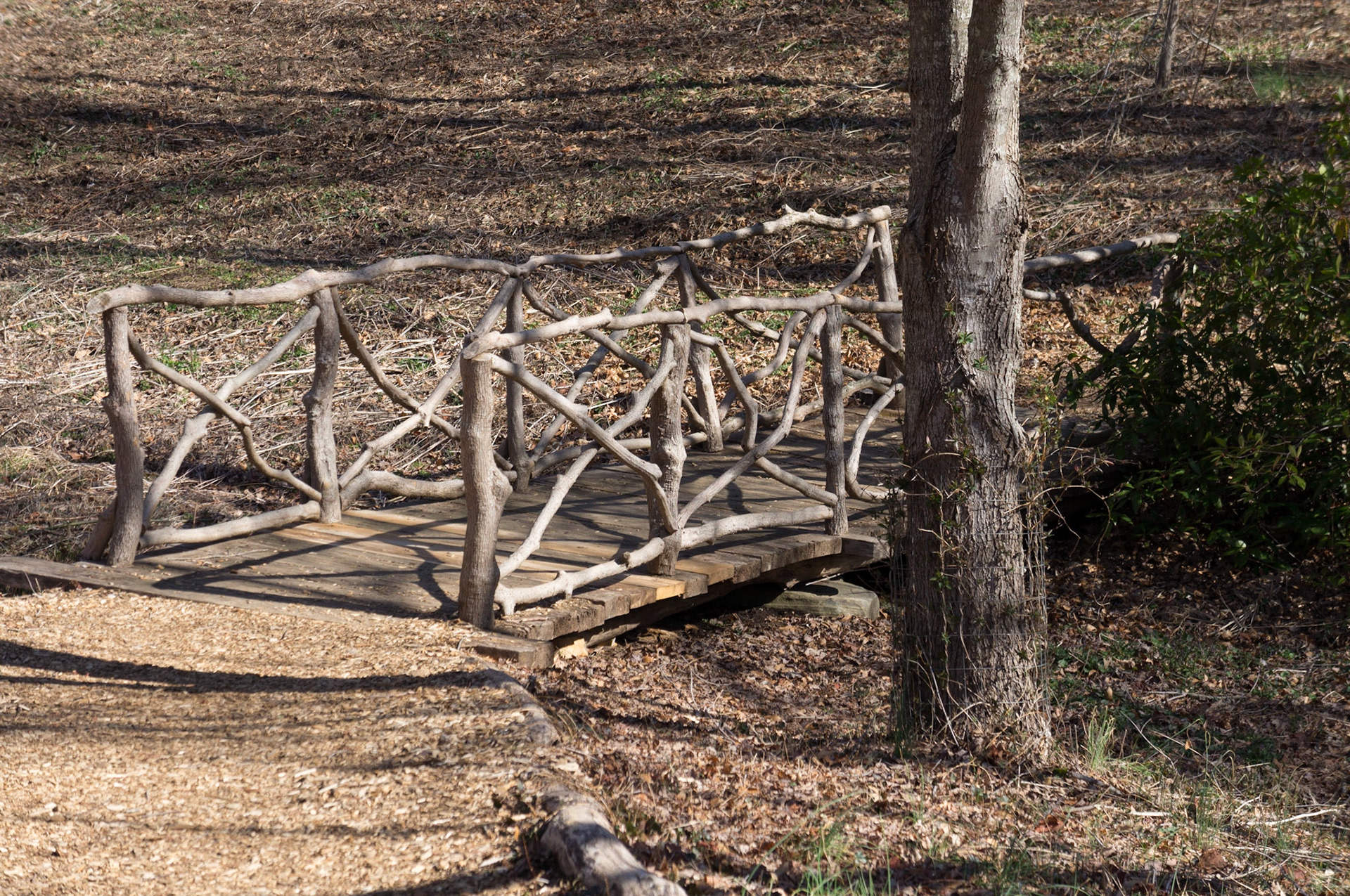 Bridge at Bass Pond - Biltmore Estate
