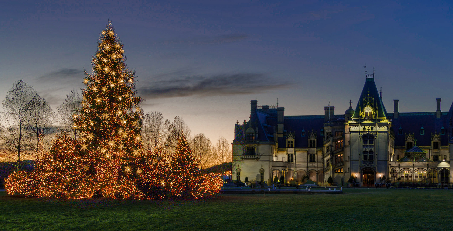 Christmas Tree at Biltmore House
