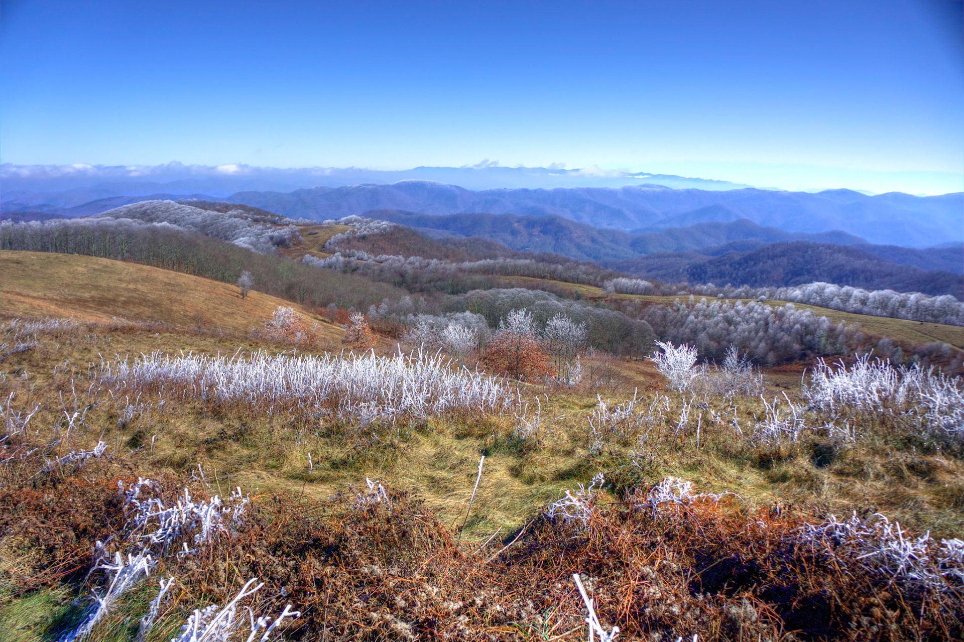 Scene from Max Patch Bald