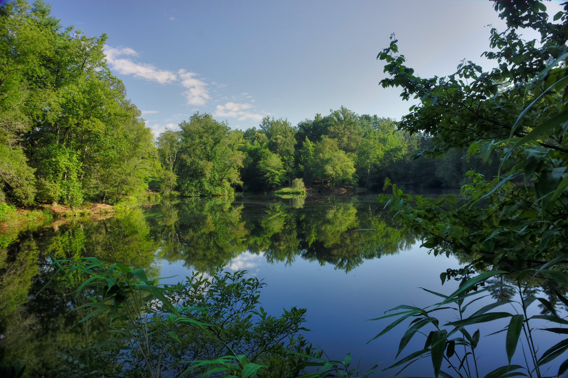 Bass Pond - Biltmore Estate