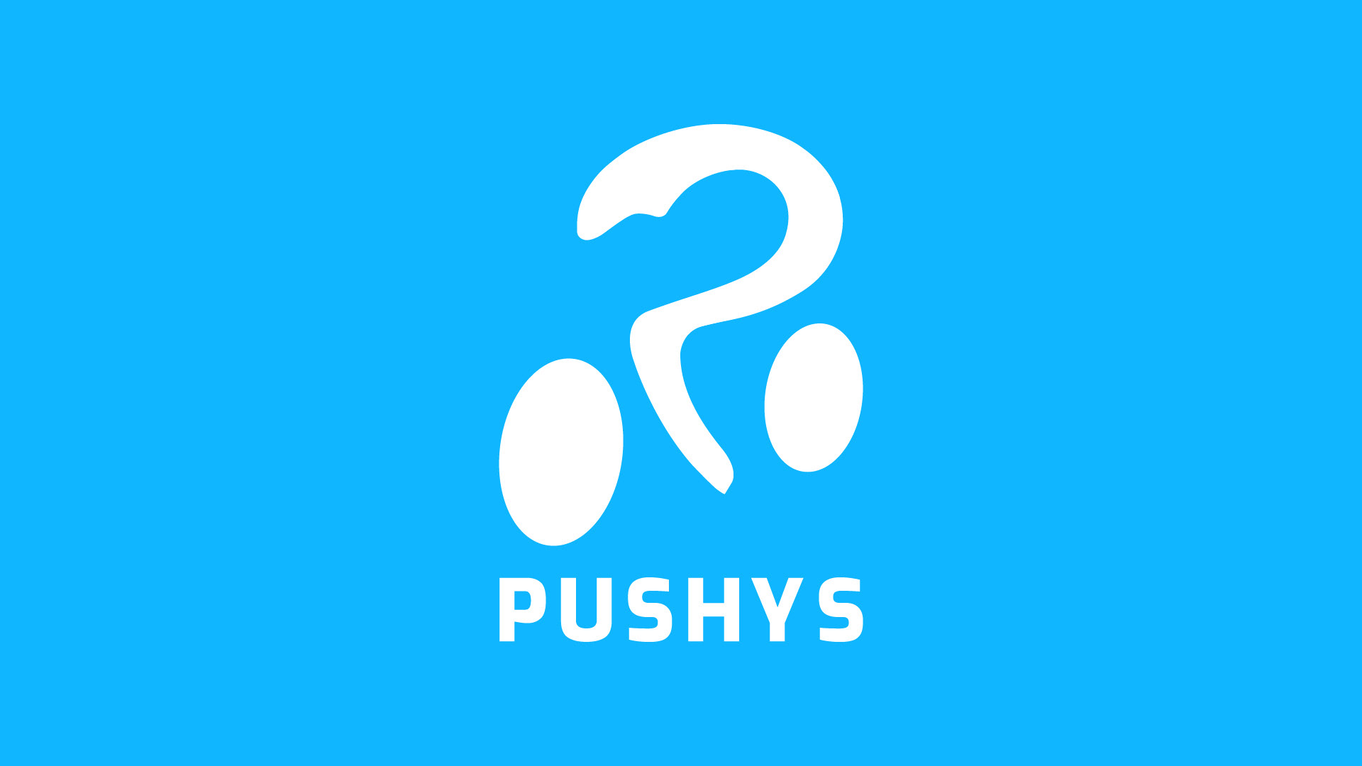 pushys online review