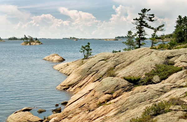Island Deerhorn