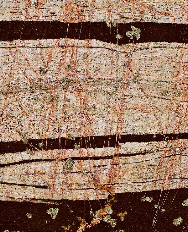 Striated Gneiss, 2011 - 60 x 48", SOLD