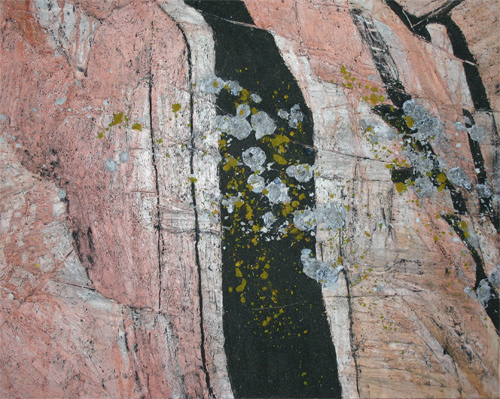 Lichen Band Manitou, 2006 - 122 x 152cm, SOLD