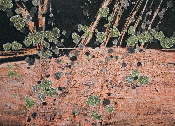 Rock Surface, 2016 - 36 x 48", SOLD
